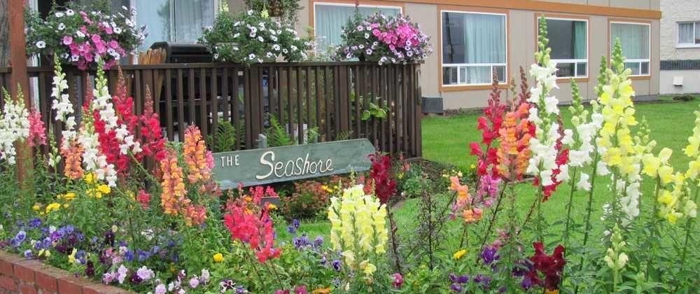 Seashore Inn On The Beach Сийсайд Екстериор снимка